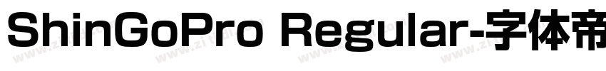 ShinGoPro Regular字体转换